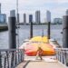 ▷ FREE Kayaking in New York Metropolis || Your Information for Summer time 2025