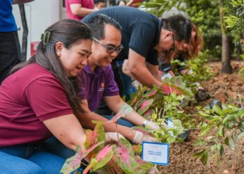 Virtually 3,000 vacationers have donated Sampaguita seedlings.