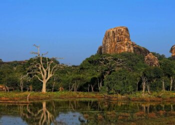 Finest Nationwide Parks for Wildlife Safaris in Sri Lanka