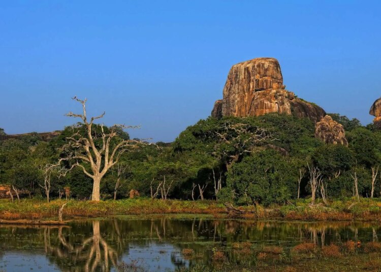 Finest Nationwide Parks for Wildlife Safaris in Sri Lanka