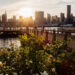 ▷ 54 FREE Issues to do in Summer time in NYC in 2025