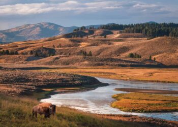 26 Finest Nationwide Parks to Go to within the US (Our Favourites After 15 Years of Journey)