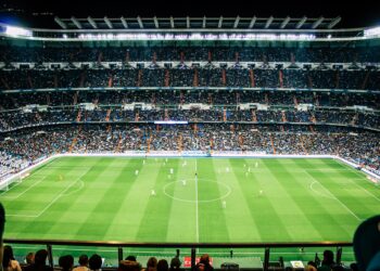 Clear Stadium Accepted Baggage That Are Really Cute