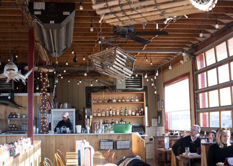 ▷ Brooklyn Crab Evaluate and Information for 2025