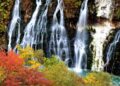 Hokkaido’s Hidden Autumn: The place the Highlands Breathe