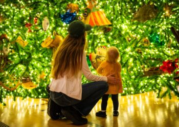 High 10 Disney World Resort Inns at Christmas