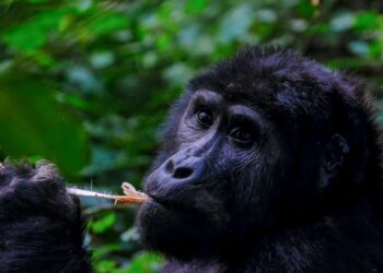 Suppose In another way About Your Subsequent Travels