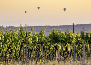 Exploring the Peaceable Countryside Cities Throughout Australia