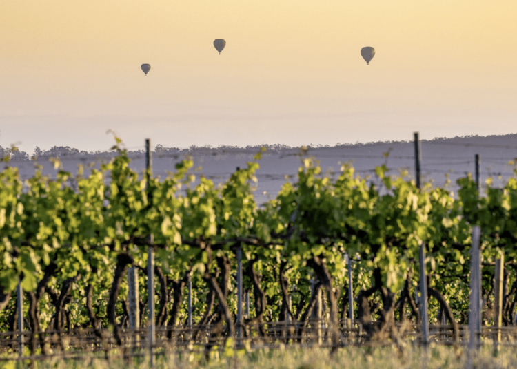 Exploring the Peaceable Countryside Cities Throughout Australia