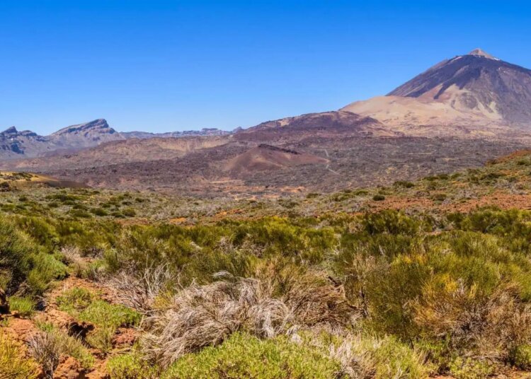 The Full Information to Tenerife Day Journeys: From Iconic Peaks to Hidden Gems