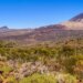 The Full Information to Tenerife Day Journeys: From Iconic Peaks to Hidden Gems