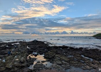 Pleasant Drivers, Costly Rides: The Reality About Taxi Costs in Goa