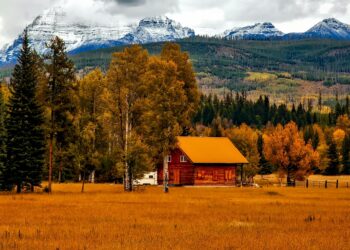 Make the Most of Your Colorado Journey