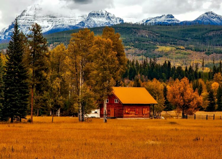 Make the Most of Your Colorado Journey