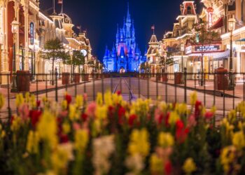 Prolonged Night Hours Return to Magic Kingdom in 2026
