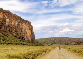 What to Count on on a Day Safari in Hell’s Gate Nationwide Park