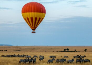 High 5 Safari Locations to Discover in Kenya