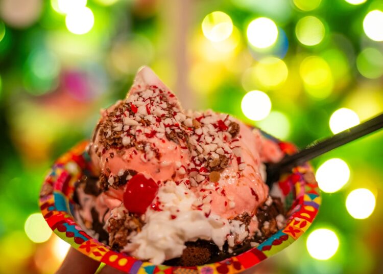 Meals Information to 2025 Mickey’s Very Merry Christmas Social gathering & Vacation Season at Magic Kingdom