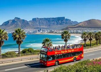 Finest Time for a Cape City Bus Tour: Seasonal Climate & Journey Ideas