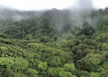 Prime Costa Rica Journey Errors for First-Time Guests (& The right way to Keep away from Them)