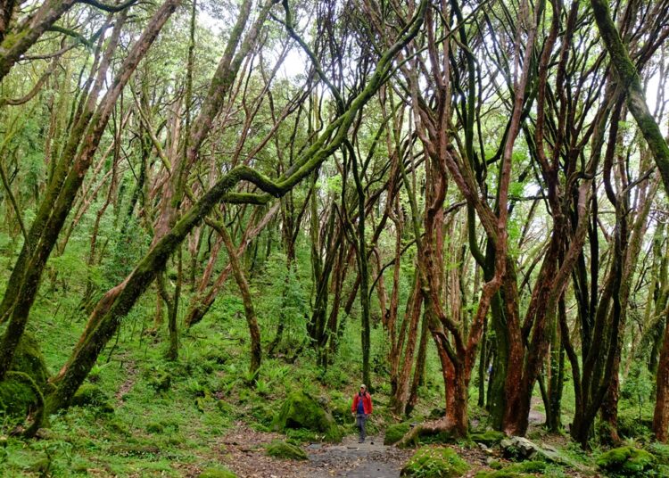 3 Issues Your Emergency Journey Finances Ought to Cowl