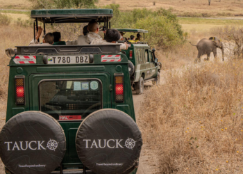 A Household Journey Via Africa – Seeing the World In another way