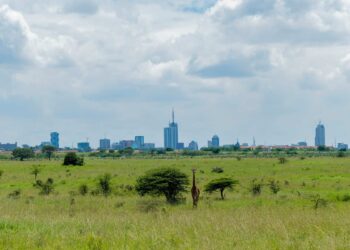 What to Do for a Day Journey in Nairobi: The Final 24-Hour Itinerary