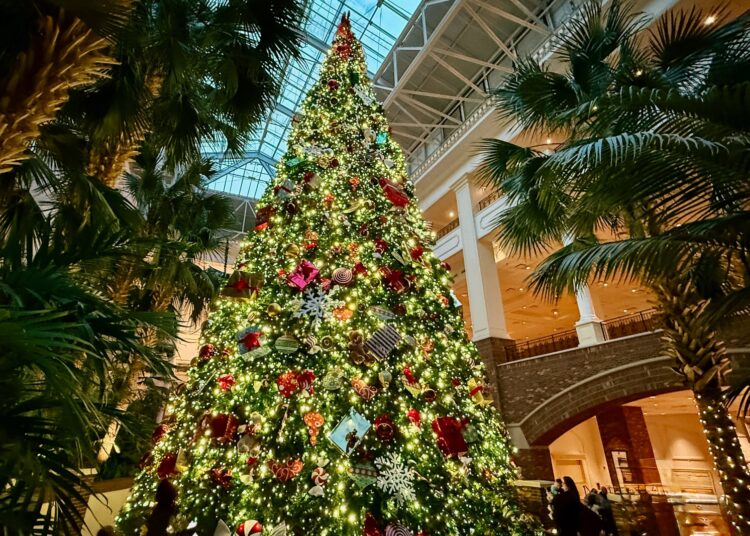 Why you need to skip internet hosting for the vacations and go to a resort as an alternative