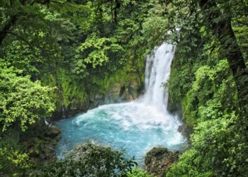 What to See and What Automotive to Lease? – American Journey Blogger