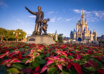 Disney World Confirms Begin Date of Cinderella Citadel Repainting, Crane Particulars & Present Impacts