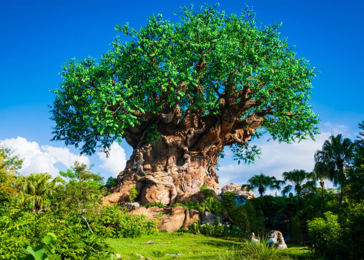 Disney World’s Bizarre Tree of Life Demolition & Development Permits