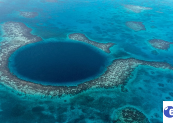 Belize Barrier Reef Sustainable Tourism: Alaia Belize’s Reef-First Escape