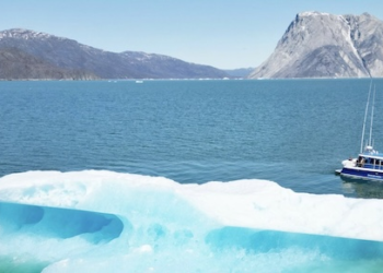 OACM’s Imaginative and prescient for Greenland’s First SAFE Marine Space