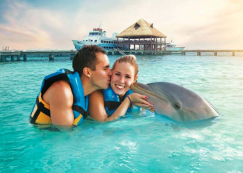 Uncover an Unforgettable Expertise at Dolphin Discovery Isla Mujeres – American Journey Blogger
