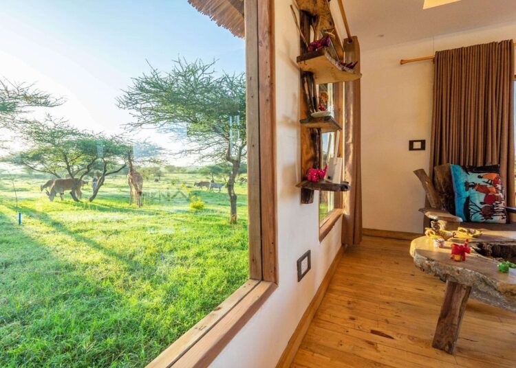 Serval Wildlife: Probably the most distinctive safari park journey – get nearer than you ever imagined