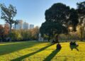 Melbourne With Children: A Household-Pleasant Information to Exploring the Metropolis