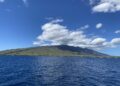 The Finest Maui Whale Watching Tour