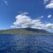 The Finest Maui Whale Watching Tour