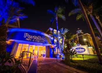 Disneyland Space Resort Opinions & Rankings