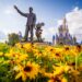 Disney World Bans Third Celebration Companies from Unauthorized On-Web site Visitor Companies
