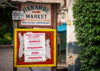 Disney World Reveals Restaurant Reopening Date Deadline for Harambe Market
