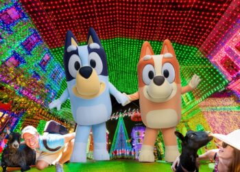 New Particulars & Timeline for Bluey Play Expertise at Disney’s Animal Kingdom in Summer time 2026