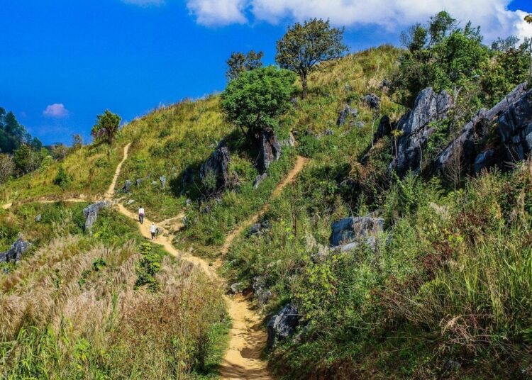 5 Half-Day Hikes With Huge Views (Good for Burnout Week)