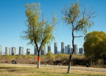 Micro-Adventures for Higher Focus: Simple Methods to Struggle Off a Heavy Semester