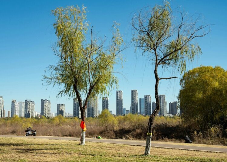 Micro-Adventures for Higher Focus: Simple Methods to Struggle Off a Heavy Semester